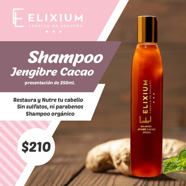 Shampoo Jengibre Cacao