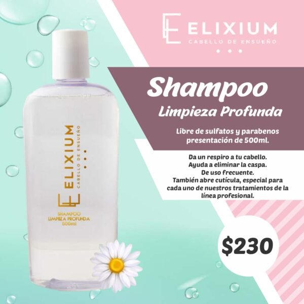 Shampoo Limpieza Profunda
