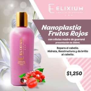 Nanoplastia  Frutos Rojos