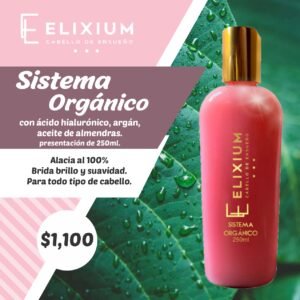 Sistema Orgánico